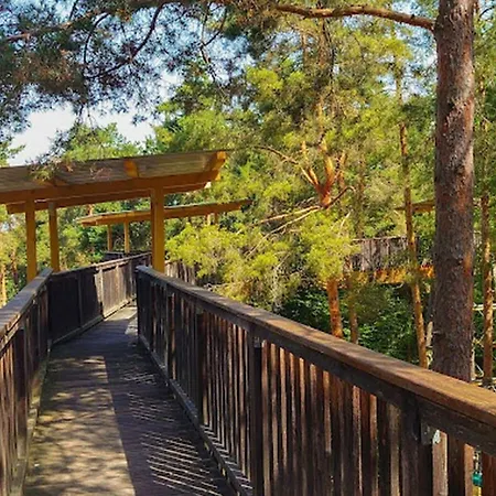 At Linsendorfer * Gallizien