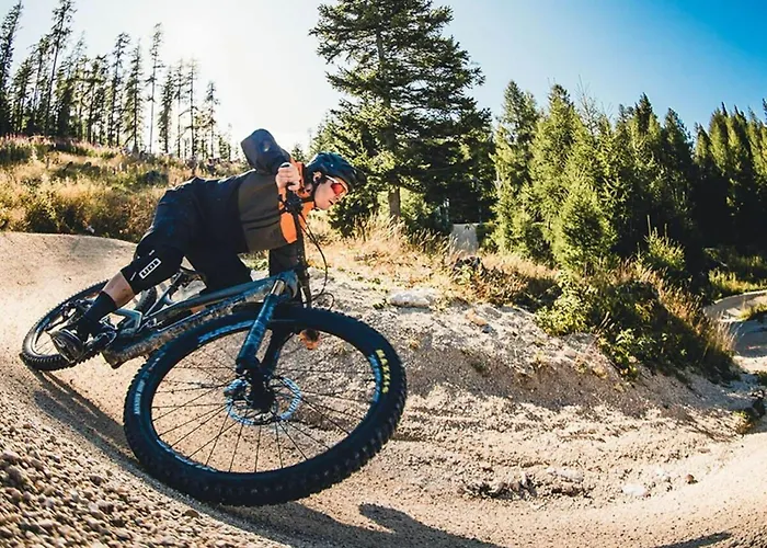 At Linsendorfer * Gallizien